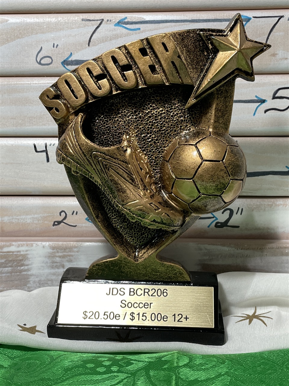 Shooting Star Soccer